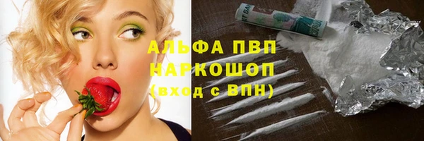 прущий лед Абаза